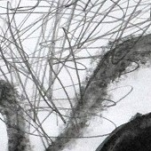 ohne titel, 2022, kohle + bleistift auf papier, 42 x 29,7 cm, copyright vg bildkunst + axel hptner